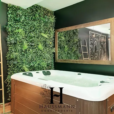 Jacuzzi Et Coin Massage Апартаменты Нанси