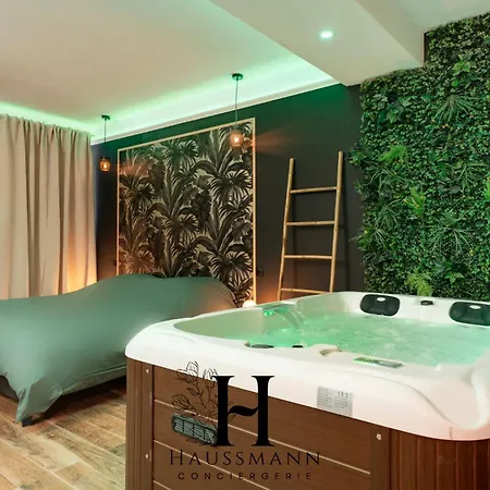Apartment Jacuzzi Et Coin Massage Nancy