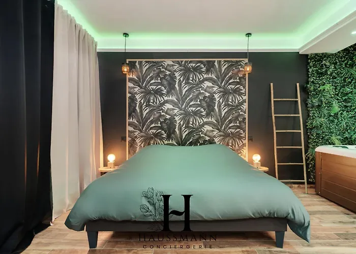 Jacuzzi Et Coin Massage * Nancy