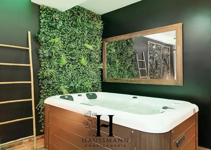 Jacuzzi Et Coin Massage Lejlighed Nancy